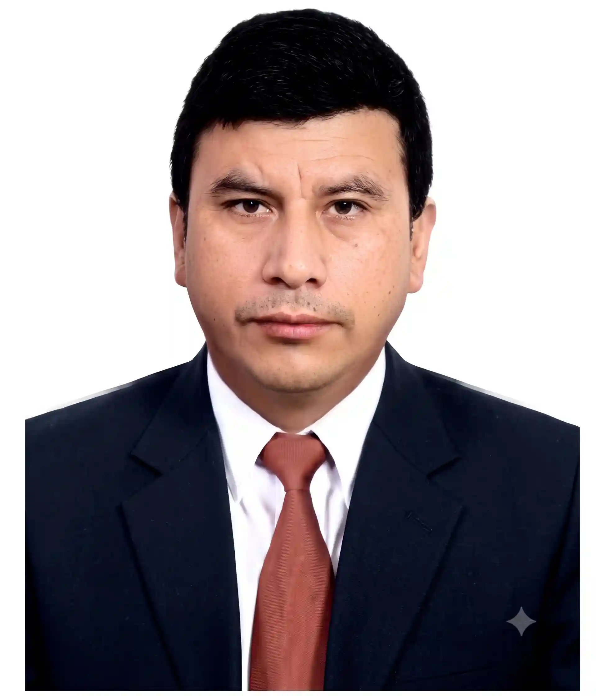 Ronald Ochoa Cardenas